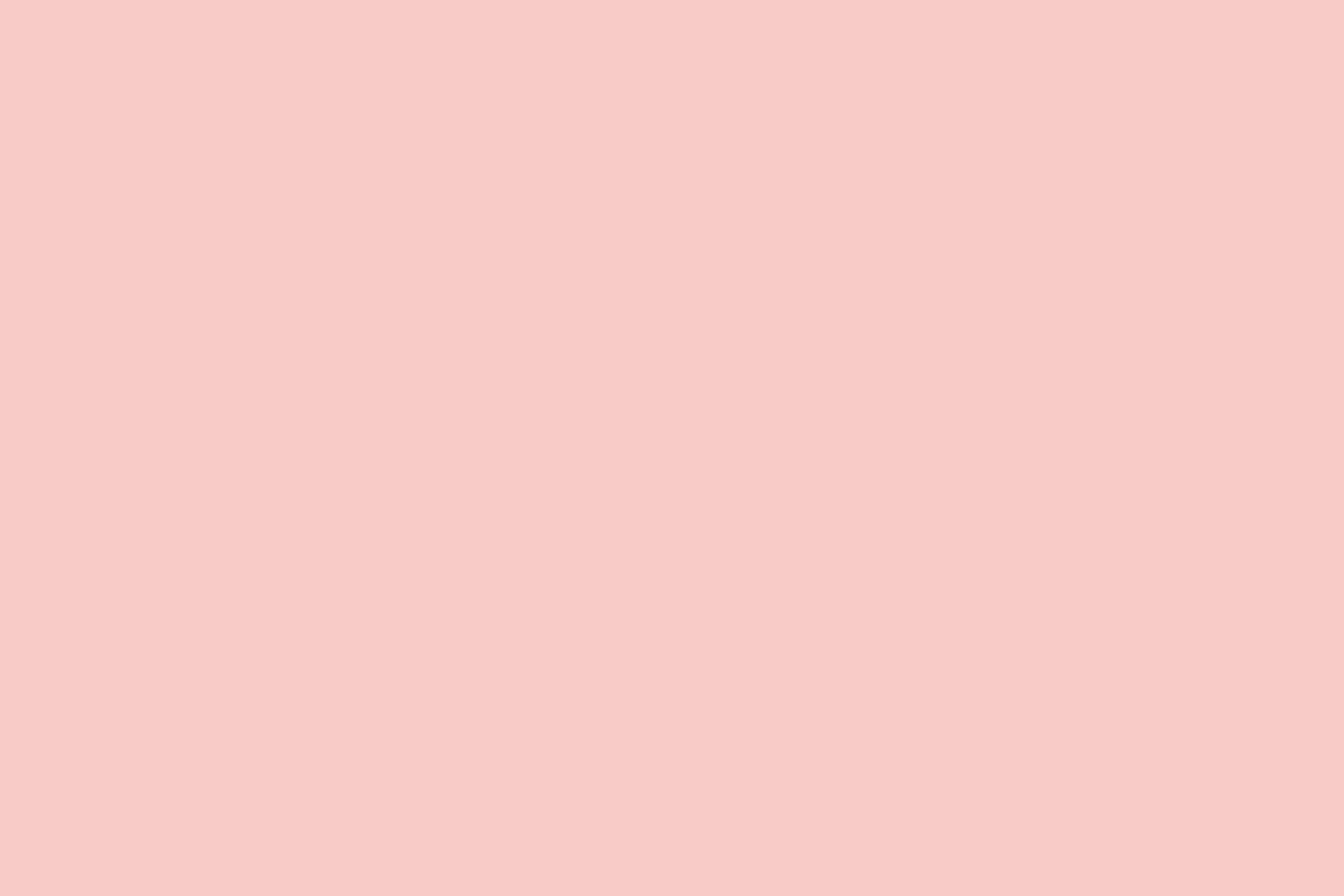  9513 Seashell Pink,   , 30/1, , , 220 gr, 95%  + 5% , /   